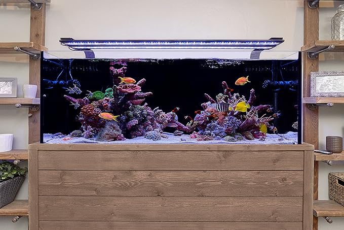 Current USA 36-48" Inch Orbit Marine LED Saltwater Reef Marine Aquarium Light | 24 Hour IR Lighting & eFlux Wave Pump Control | Adjustable Color Spectrum for Fish Tank (4102) Current+USA
