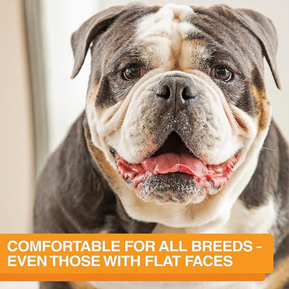 Neater Feeder Express Medium to Large Mess Proof Feeder for Dogs, 2 Cup Slow Feed Bowl & 7 Cup Stainless Steel Water Bowl, No Spill, Non-Tip, Non-Slip, Elevated Dog Bowls. Aids Digestion. Made in USA - PAWPICO