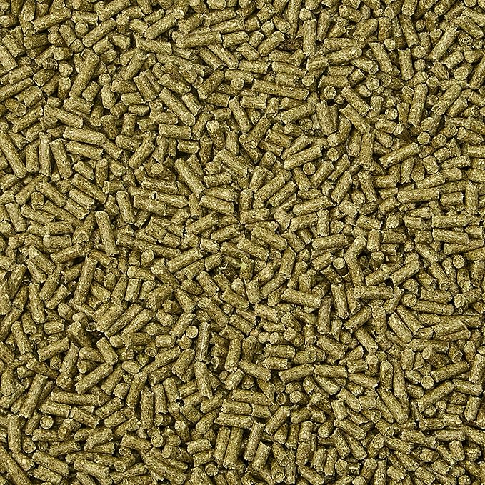 Kaytee Timothy Complete Rabbit Food 4.5 lb Kaytee