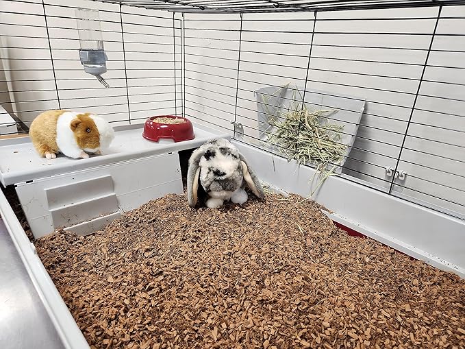 Small Animal Bedding & Litter - 20 Liter - with Activated Charcoal Odor Control - Coco Chip Substrate for Rabbit, Hamster - Reptile Terrarium for Snakes, Dragon Lizards & Turtle, Tortoise CoirWonder