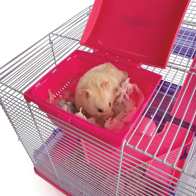 Pico XL Pink & Purple - Hamster & Small Animal Home/Cage Rosewood