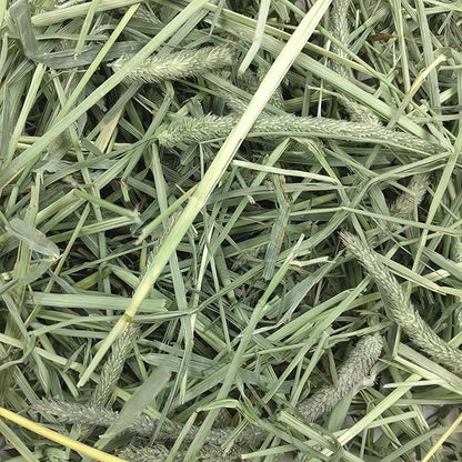 Oxbow Animal Health Western Timothy Hay - All Natural Hay for Rabbits, Guinea Pigs, Chinchillas, Hamsters & Gerbils- Made in the USA- Fiber Rich- Veterinarian Recommended - 25 lb. Bulk Size OxbowAnimalHealth