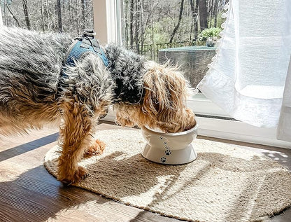 Y YHY Elevated Cat Food Bowl, Raised Pet Food and Water Bowl for Cat and Small Dog, Tilted Ceramic Water Bowl No Spill,15oz, Dishwasher Safe - PAWPICO